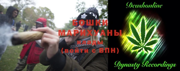 прущие грибы Вязьма