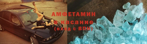 прущие грибы Вязьма