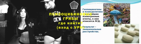 spice Вяземский