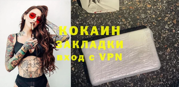 прущие грибы Вязьма