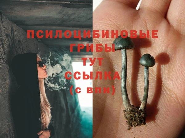 мет Верхний Тагил