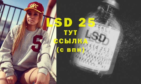 spice Вяземский