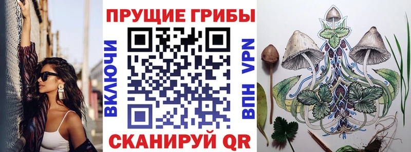 где найти наркотики  Далматово  Псилоцибиновые грибы мицелий 